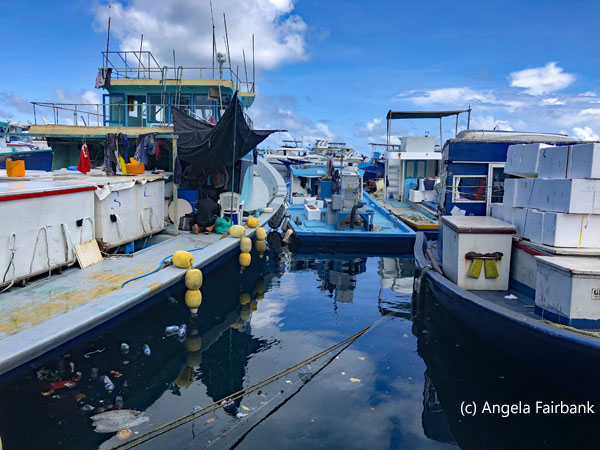 fishing boats