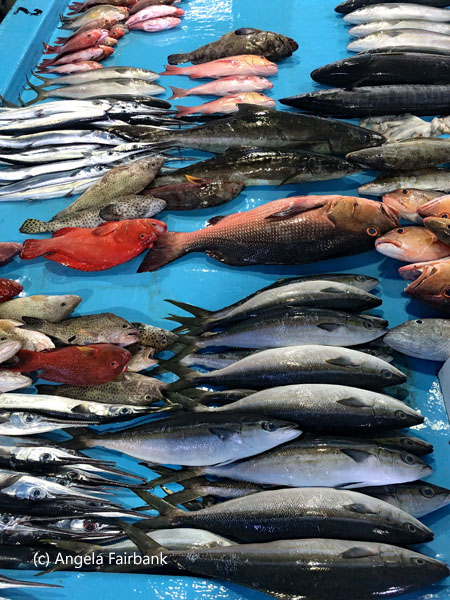 colourful fresh fish
