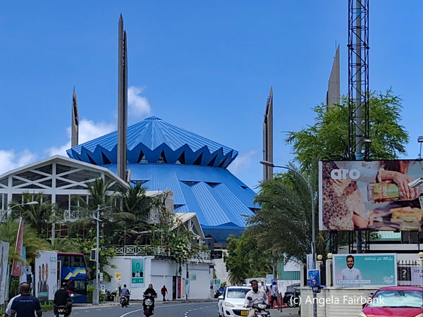 blue mosque in background