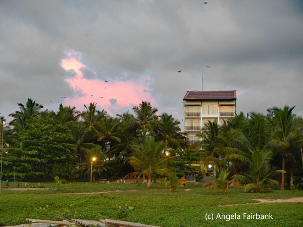 building and grass