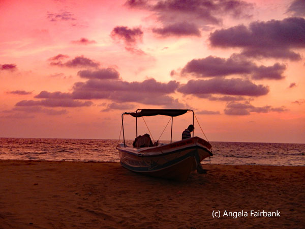 silhouette of boat and man