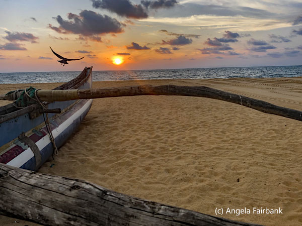sunset with outrigger 4