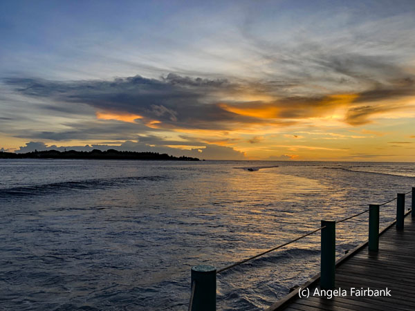 sunset with fence posts