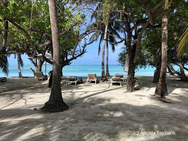 view from beach hut