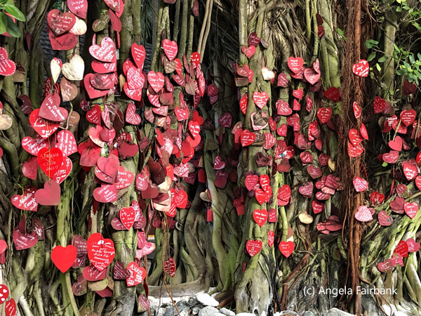 hearts hung on banyan tree