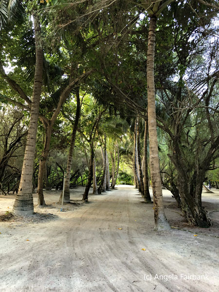 path to surfing beach