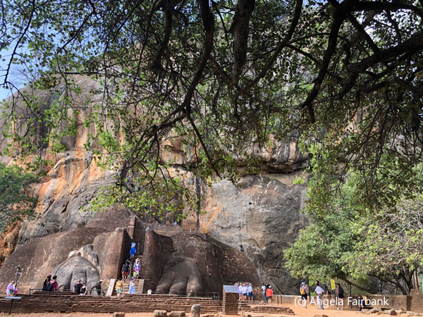 view of the rock behind the tree