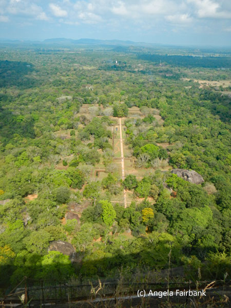 view of gardens from above
