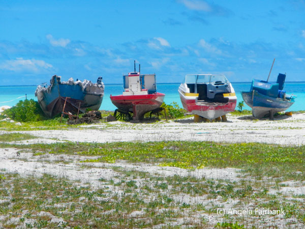 boats on shore
