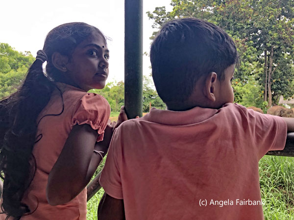 children watching elephants