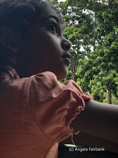 girl watching elephants