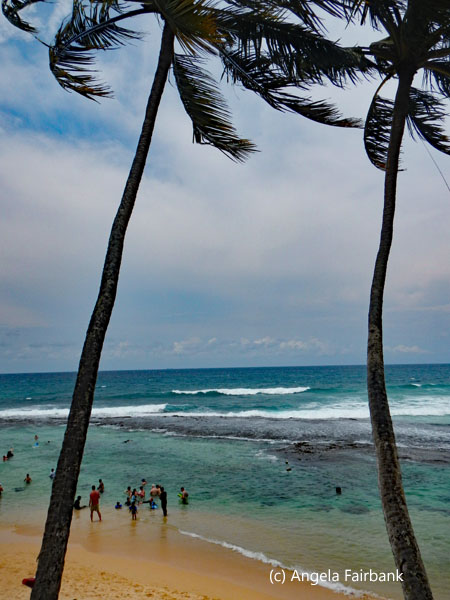 unawatuna beach vertical