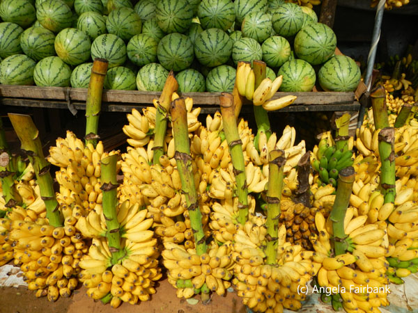 bananas and watermelons