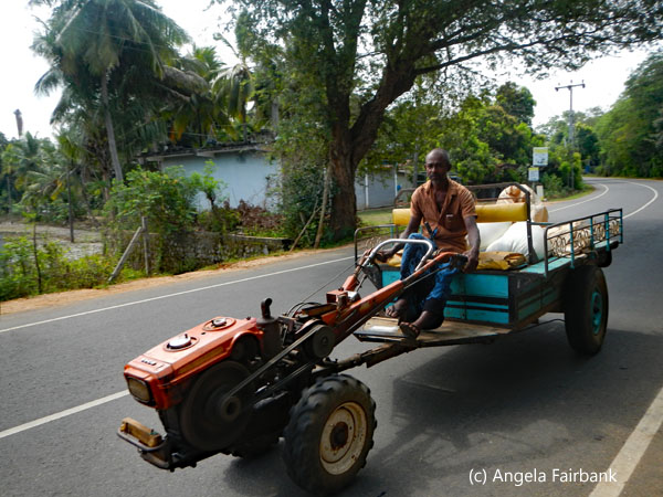 man driving motorized cart