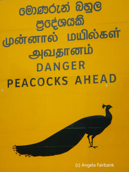 danger peacocks ahead sign