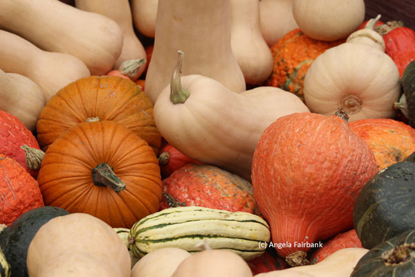 orange and green pumpkins