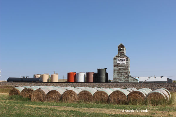 grain elevator and hay