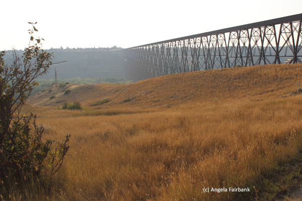 trestle bridge