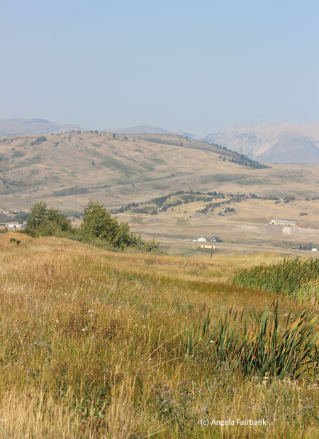 rolling hills