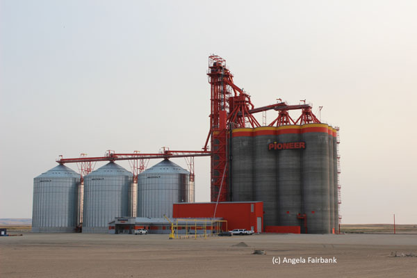 grain elevator 2