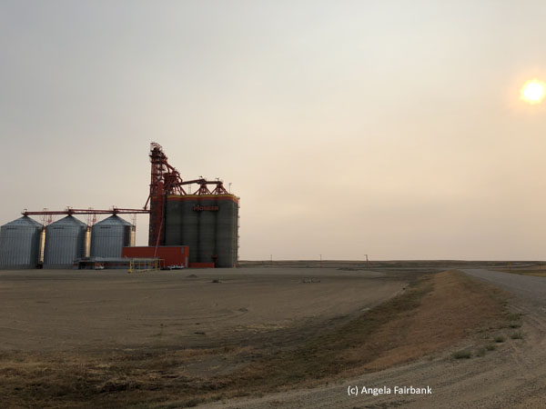 grain elevator 3