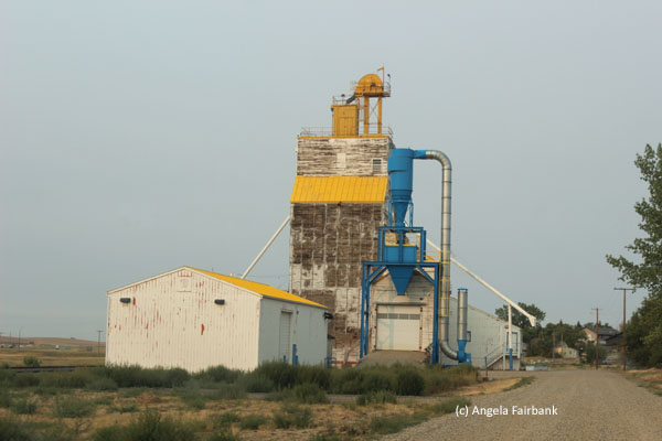grain elevator 4