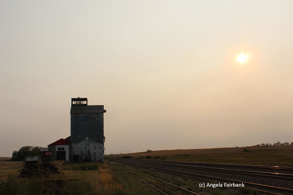 grain elevator 1