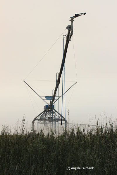 irrigation 2