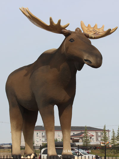 moose statue