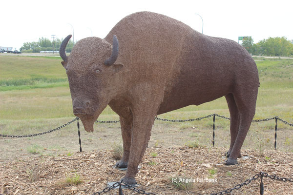 bison statue