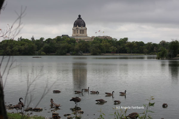 legislature