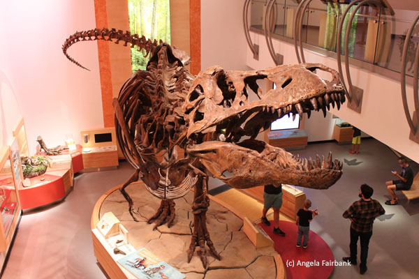 t rex