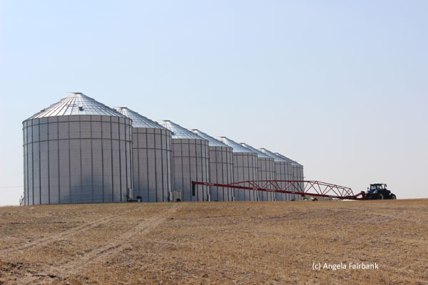 grain storage