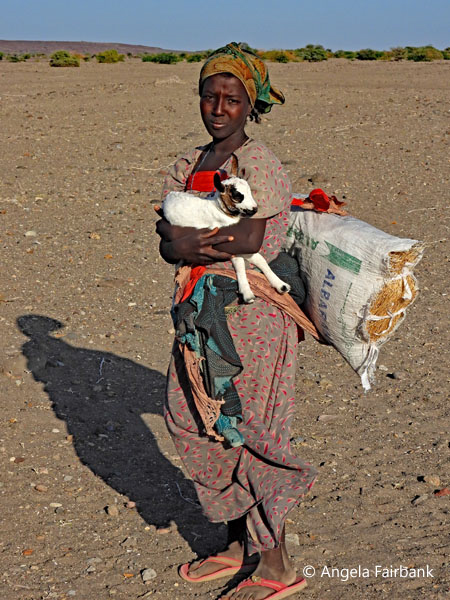 Afar teenage girl with goat in arms