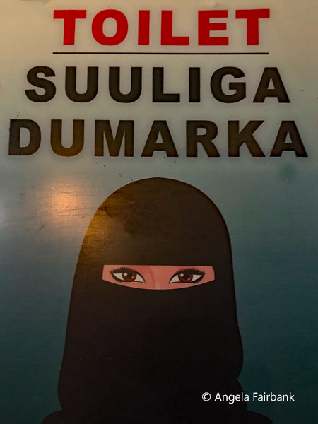 female toilet at restaurant