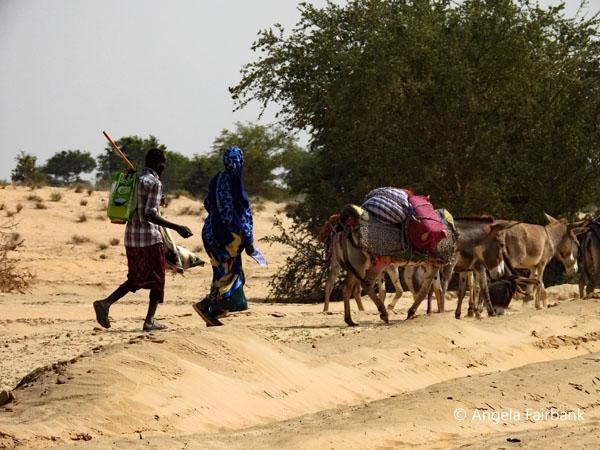 couple with laden donkeys