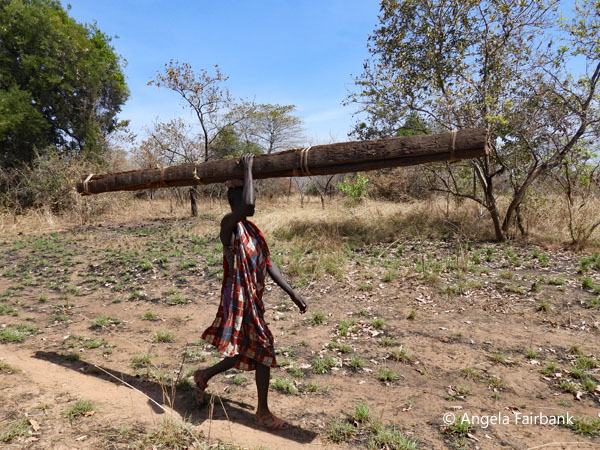 Boya carrying log on head