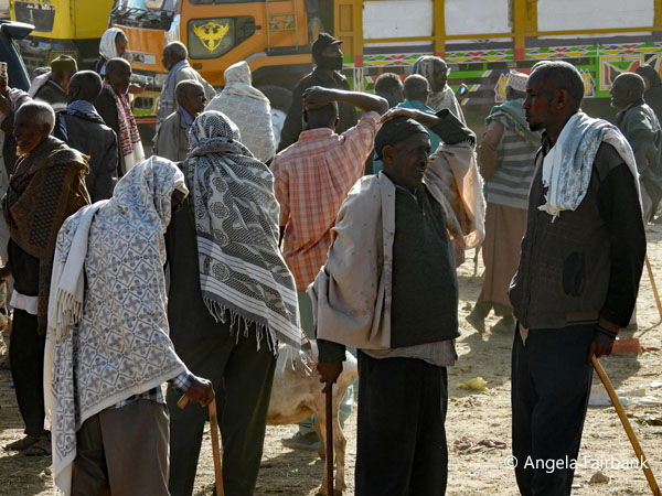 livestock market scene 9