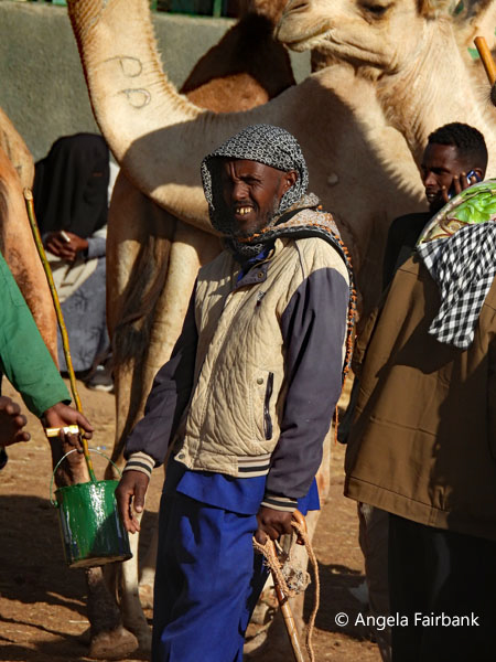livestock market scene 13