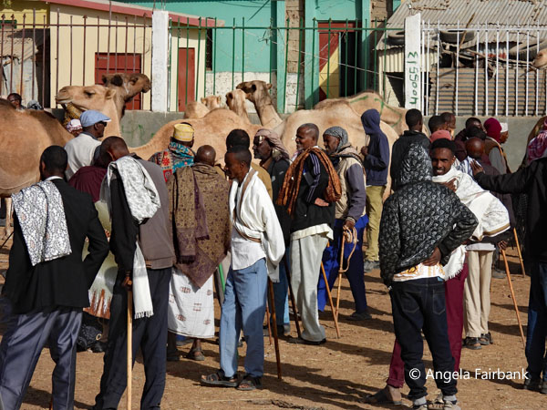 livestock market scene 1