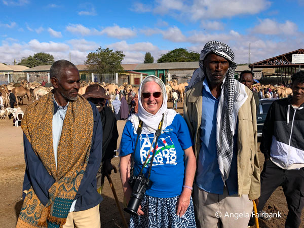 livestock market scene 19