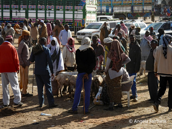 livestock market scene 20