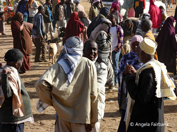 livestock market scene 23