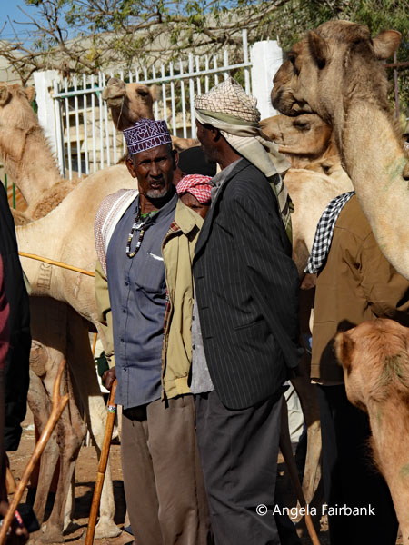 livestock market scene 29