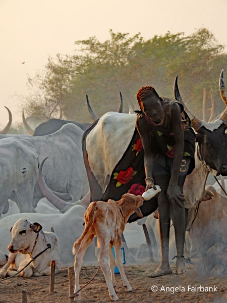 mundari camp scene 106
