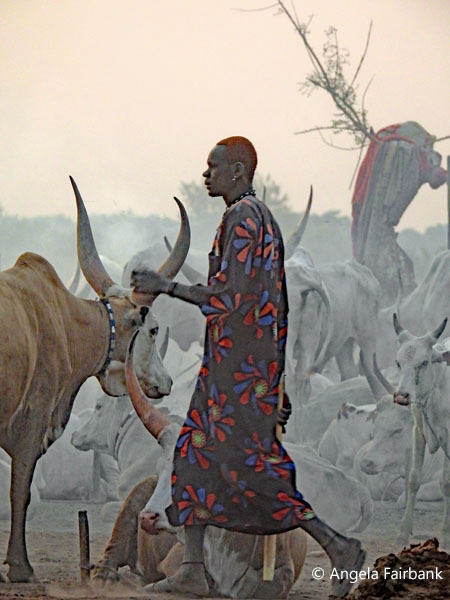 mundari camp scene 118