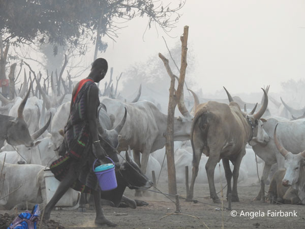 mundari camp scene 122