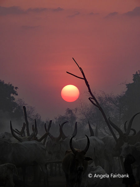 mundari camp scene 127