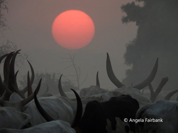 mundari camp scene 128