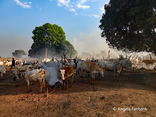 mundari camp scene 17